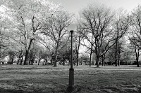  Niagara Falls State Park