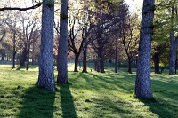  Niagara Falls State Park