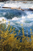  Niagara Falls State Park