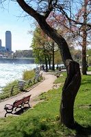  Niagara Falls State Park