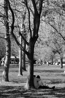  Drawn Close, Niagara Falls State Park