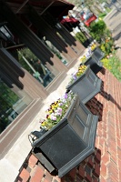  Downtown Niagara Falls