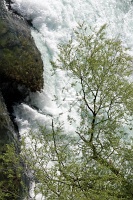  Niagara Falls State Park