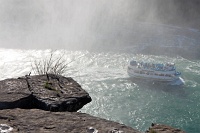  Maid of the Mist