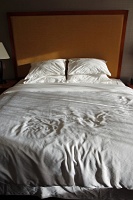  Sheraton at the Falls