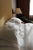  Sheraton at the Falls