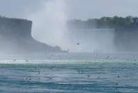  Niagara Falls