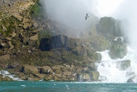  Niagara Falls 