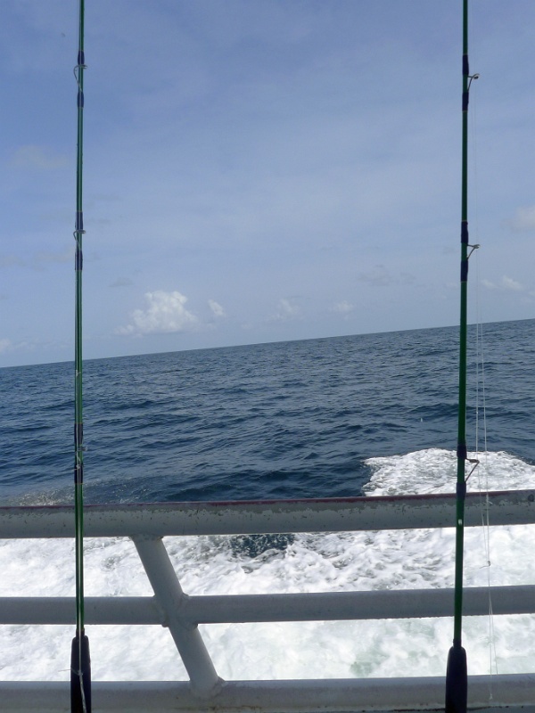 P1150525