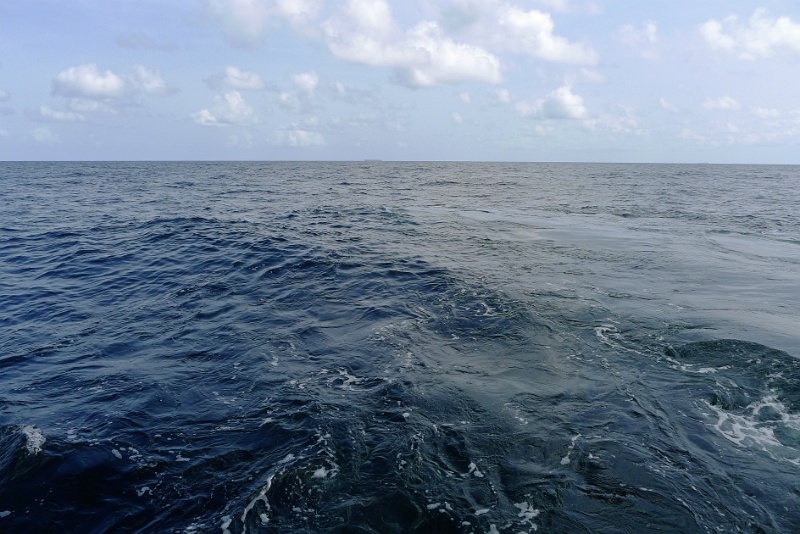 P1150530