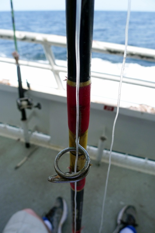 P1150541