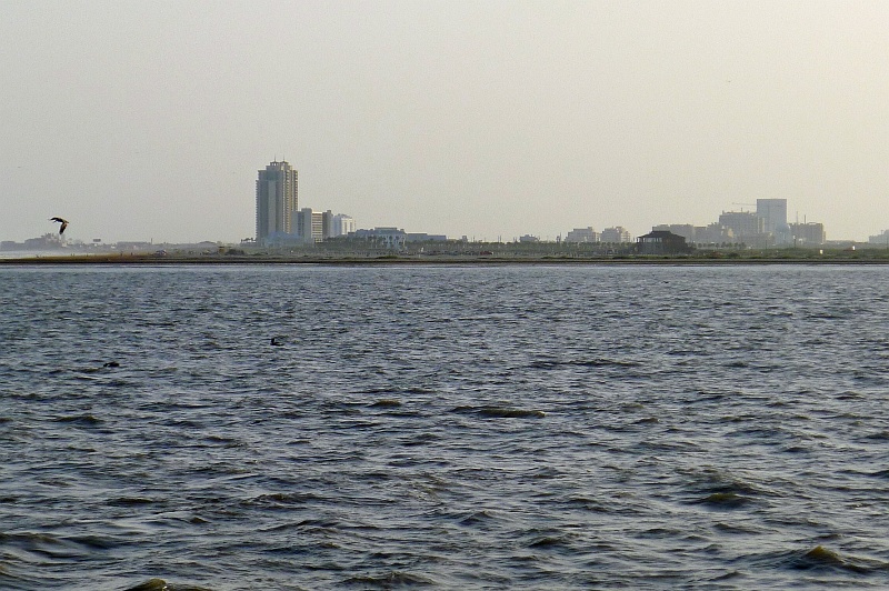 P1150713