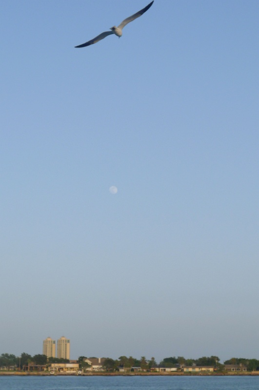 P1150746