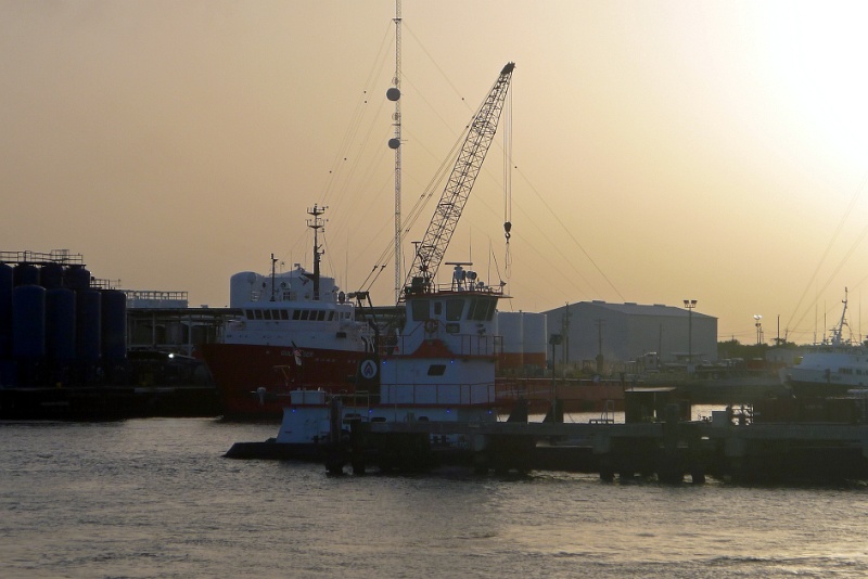 P1150769