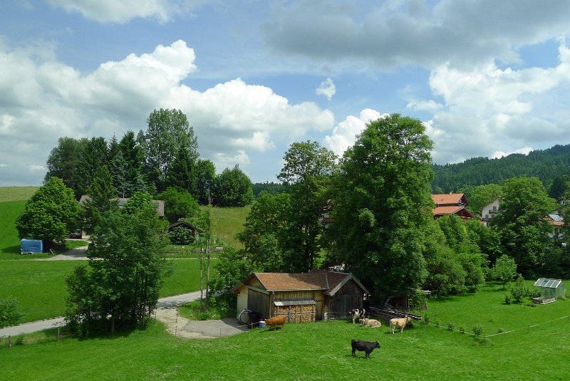P1160336