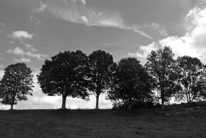 P1160341