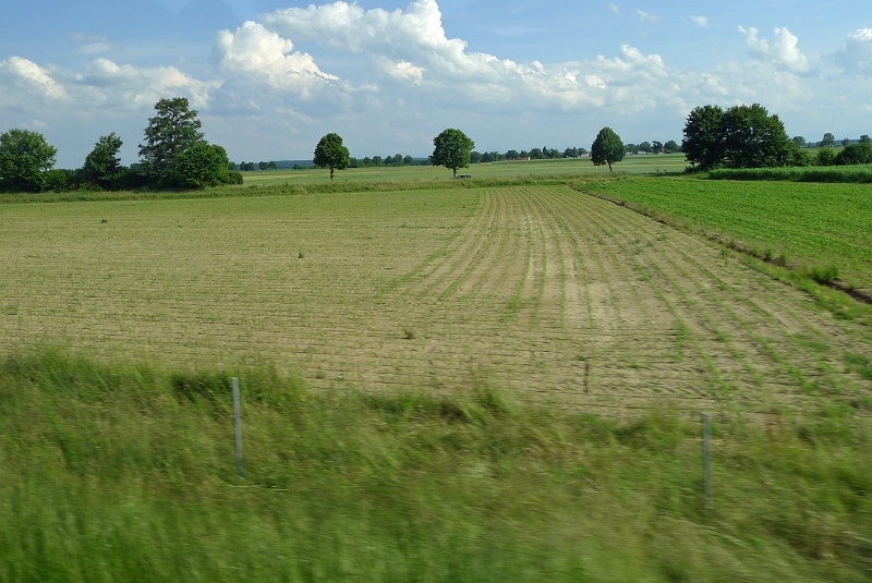 P1160479
