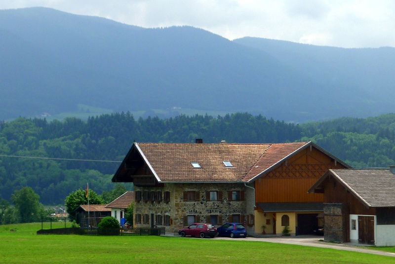 P1160920