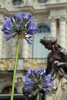  Schloss Linderhof