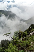  Bavarian Mountains, Obersalzberg