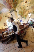  Hofbrauhaus, Munich