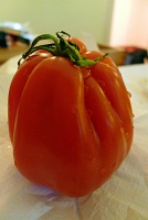 German ugly tomato