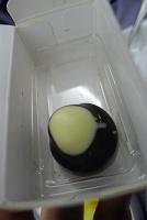  Lily O'Brien's chocolate truffle - BusinessFirst Class, United Airlines
