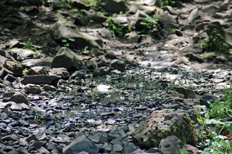 IMG_4377