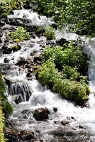  Wahkeena Falls
