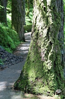  Wahkeena Trail