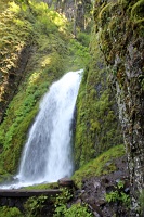  Wahkeena Falls