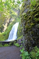  Wahkeena Falls