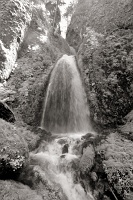  Wahkeena Falls