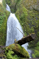  Wahkeena Falls