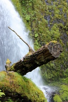  Wahkeena Falls