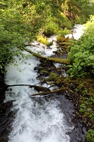  Wahkeena Falls
