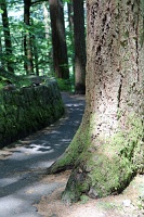  Wahkeena Trail
