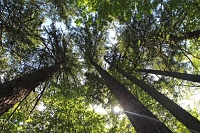  Wahkeena Trail