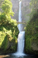  Multnomah Falls