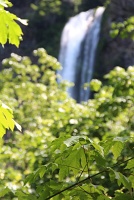  Multnomah Falls\