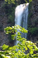  Multnomah Falls