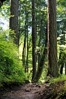  Return Trail