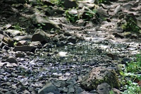  Return Trail