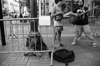  Downtown Portland