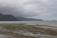  Cape Lookout