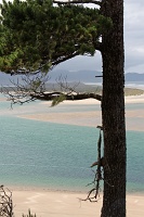  Netarts Bay