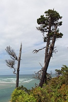  Netarts Bay