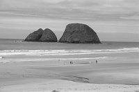  Netarts Bay
