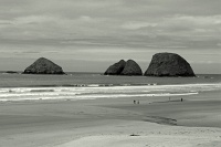  Netarts Bay