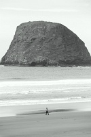  Netarts Bay